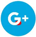 Google Icon