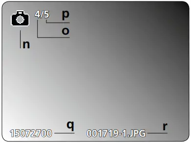 Laserliner VideoScope Plus Recordable Inspection Camera A 7