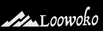 Shenzhen Loowoko LOGO