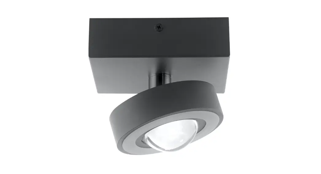 Paul Neuhaus Q-mia 9186-55 Ceiling Light Instruction Manual