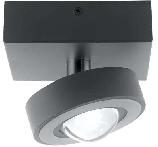 Paul Neuhaus Q-MIA 9186-55 Ceiling Light