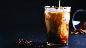 GOURMIA GCM3210 ICED Coffee Maker - Iced Coffee Maker