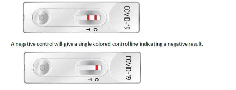 MEDICAL SUPPLIES CELLTRION-CTP60-AG-COVID Celltrion DiaTrust COVID-19 AG Rapid Test-2
