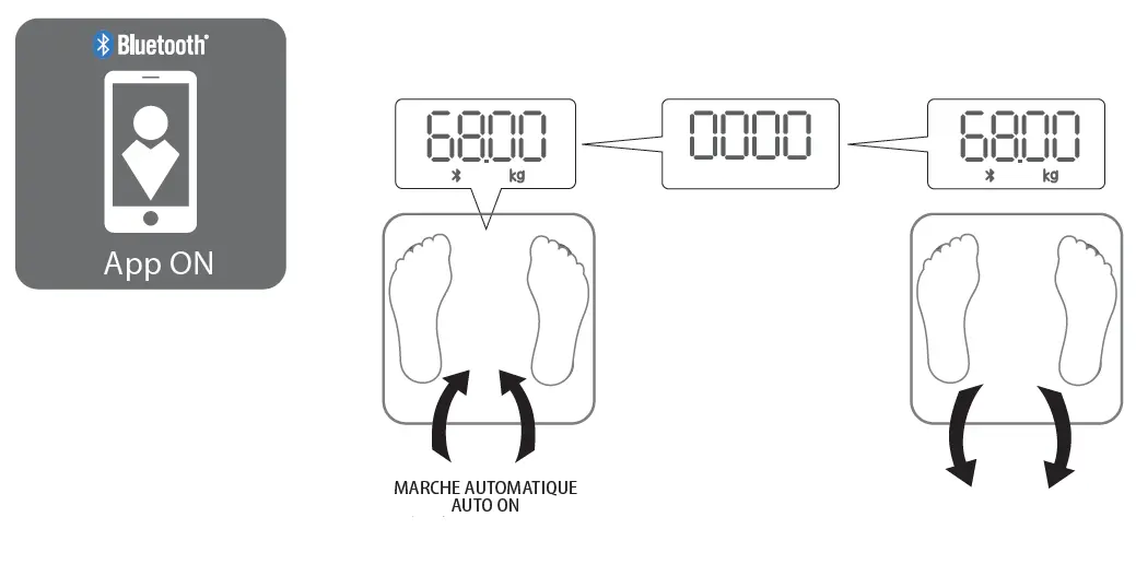 Tefal BM9600S1 Floor Scale fig 6