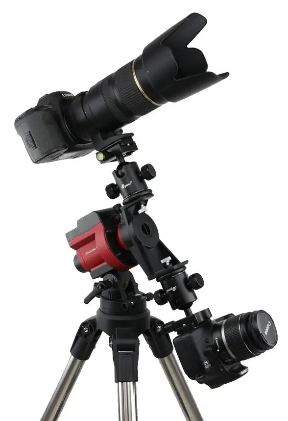 Dual camera mounting