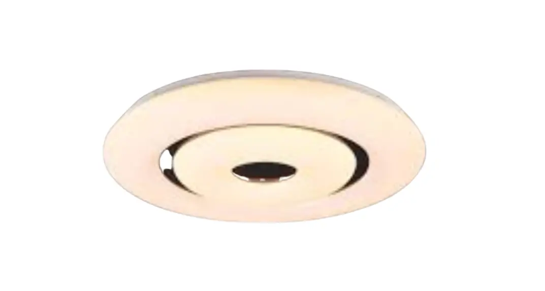Rl R65081900 Ceiling Mounting Light Instructions Rl R65081900 Ceiling Mounting Light Instructions