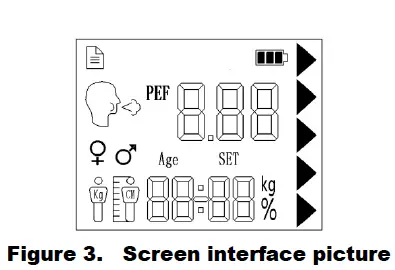 Taian -Dalu -Medical -Instrument- DL-DF01 -Electronic -Peak -Flow- Meter- 2