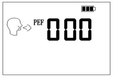 Taian -Dalu -Medical -Instrument- DL-DF01 -Electronic -Peak -Flow- Meter- 7