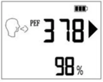 Taian -Dalu -Medical -Instrument- DL-DF01 -Electronic -Peak -Flow- Meter- 8