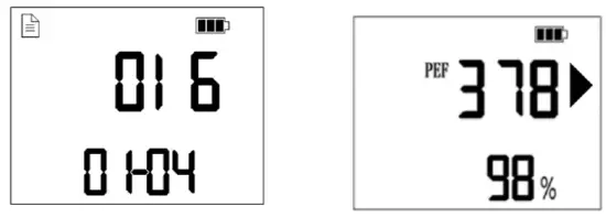 Taian -Dalu -Medical -Instrument- DL-DF01 -Electronic -Peak -Flow- Meter- 9