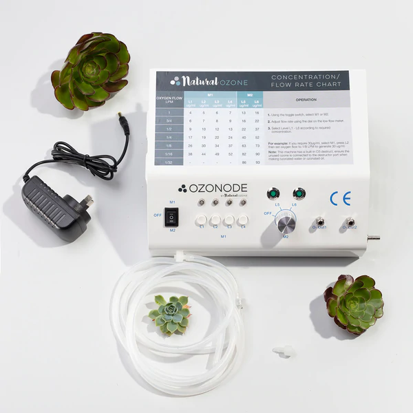 natural ozone Ozonode Home Ozone Generator