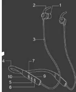 boAt-Rockerz-255-Bluetooth-Headset-FIG-1