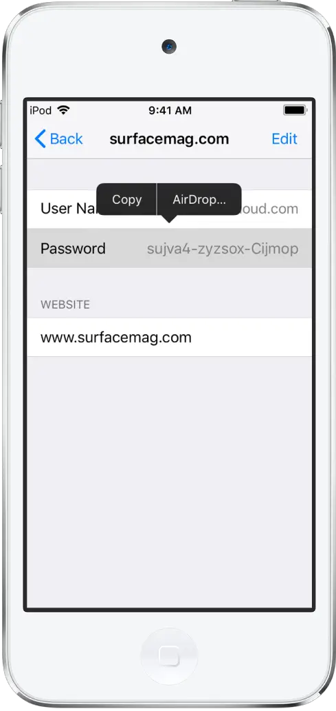 The account screen for a website. The password section is selected, and a menu containing the items Copy and AirDrop appears above it.