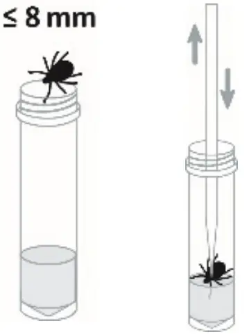 nal von minden 870004N-01 NADAL Borreliosis Ag Test fig 1