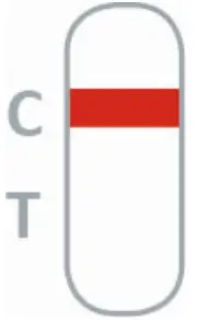 nal von minden 870004N-01 NADAL Borreliosis Ag Test fig 4