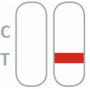 nal von minden 870004N-01 NADAL Borreliosis Ag Test fig 5