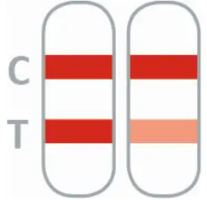 nal von minden 870004N-01 NADAL Borreliosis Ag Test fig 6