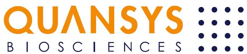 QUANSYS LOGO