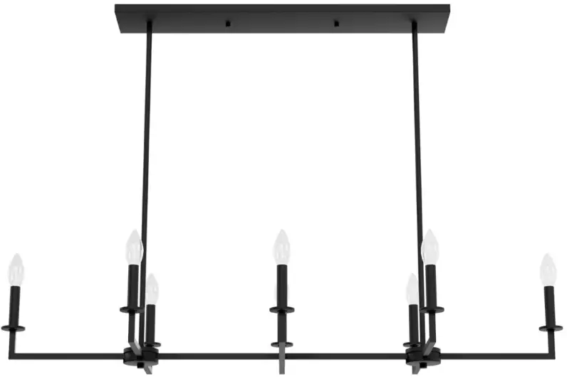 Hunter 19630 Bearden 8 Light Linear Chandelier