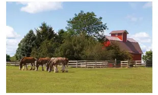 Farms, ranch, or stables