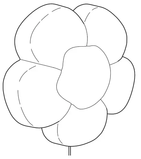 IKEA UPPLYST LED Wall Lamp