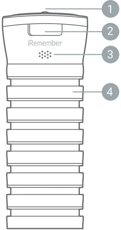 iRemember CSR1010 Wealth Taxi - FIG1