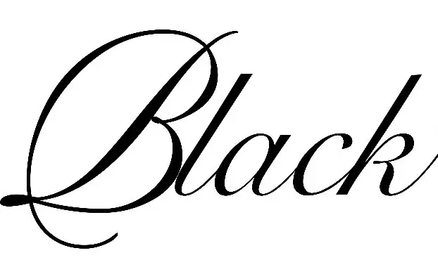 bel canto Black EX - Logo