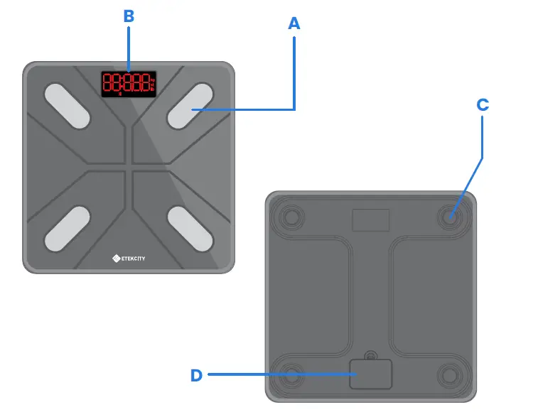 ETEKCITY ESF18 Series Smart Fitness Scale-1
