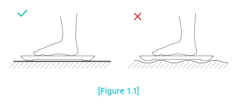 ETEKCITY ESF18 Series Smart Fitness Scale-5