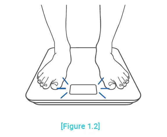 ETEKCITY ESF18 Series Smart Fitness Scale-6