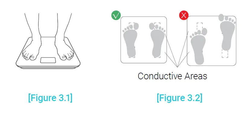 ETEKCITY ESF18 Series Smart Fitness Scale-9