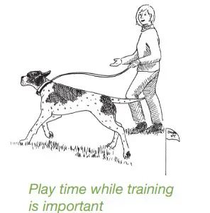 DogWatch System 1200 Safelink Digital FM Design- Containment Training