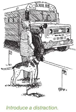 DogWatch System 1200 Safelink Digital FM Design- Introduce a distraction