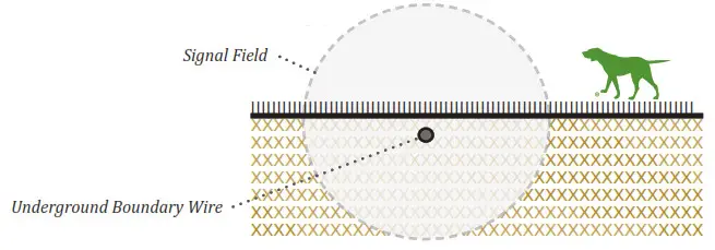 DogWatch System 1200 Safelink Digital FM Design- Signal Field