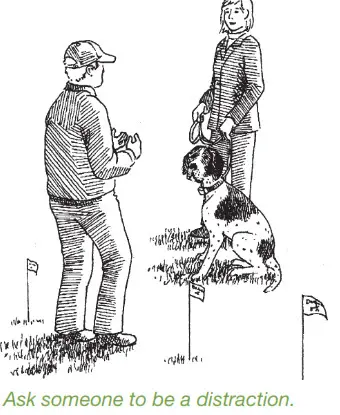 DogWatch System 1200 Safelink Digital FM Design- distraction