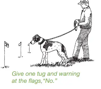 DogWatch System 1200 Safelink Digital FM Design- tug and warning