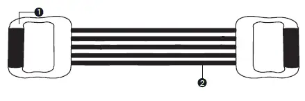 PROZIS-TITAN-Chest-Expander-1