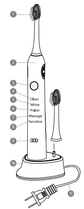 teesa-TSA8011-Sonic-Toothbrush-1