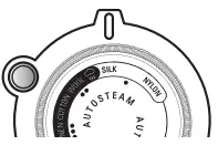 ROWENTA DW9230 Steamforce Steam Iron - silk