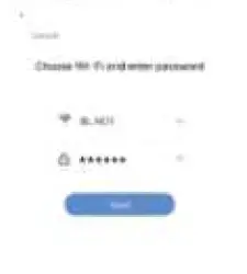 BLING LIGHTING DMD-045-W3 Smart LED RGBCW String Light fig 12