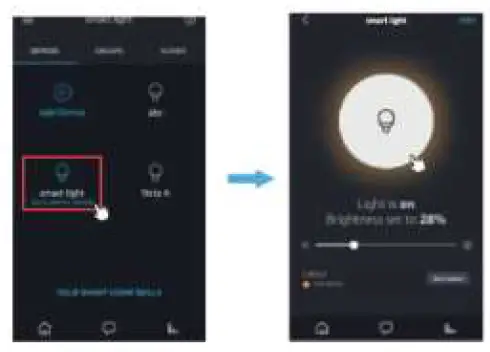 BLING LIGHTING DMD-045-W3 Smart LED RGBCW String Light fig 18