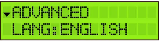 johansson-Profino-Revolution-6714-Lite-Amplifier-23