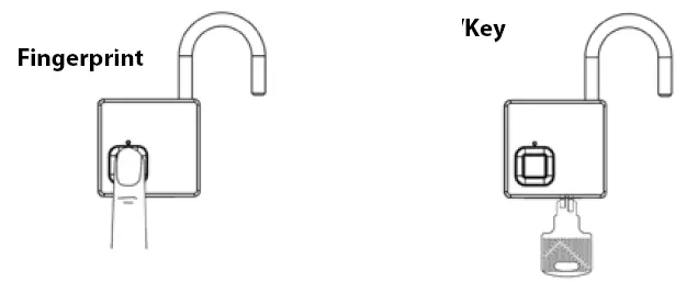 BURG-WACHTER-61053-Scan-&amp -1