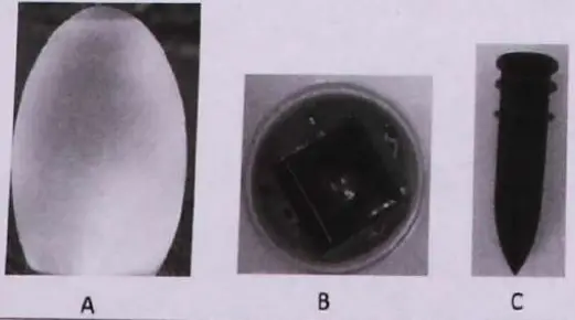 V-TAC Solar Egg Light - parts