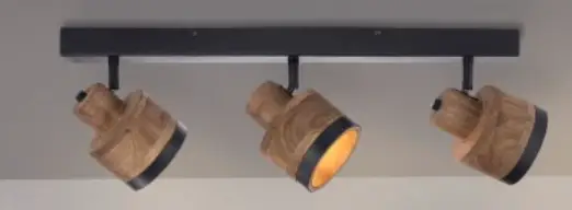 Leuchtendireckt 11467-18 Gabriel Ceiling Light Instruction Manual