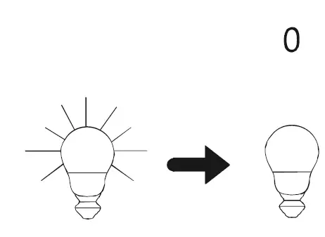 Paul-Neuhaus-6983-Ceiling-Light-Instruction-FIG-6