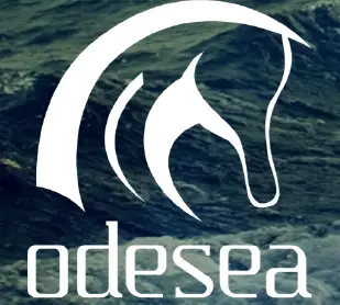 odesea logo