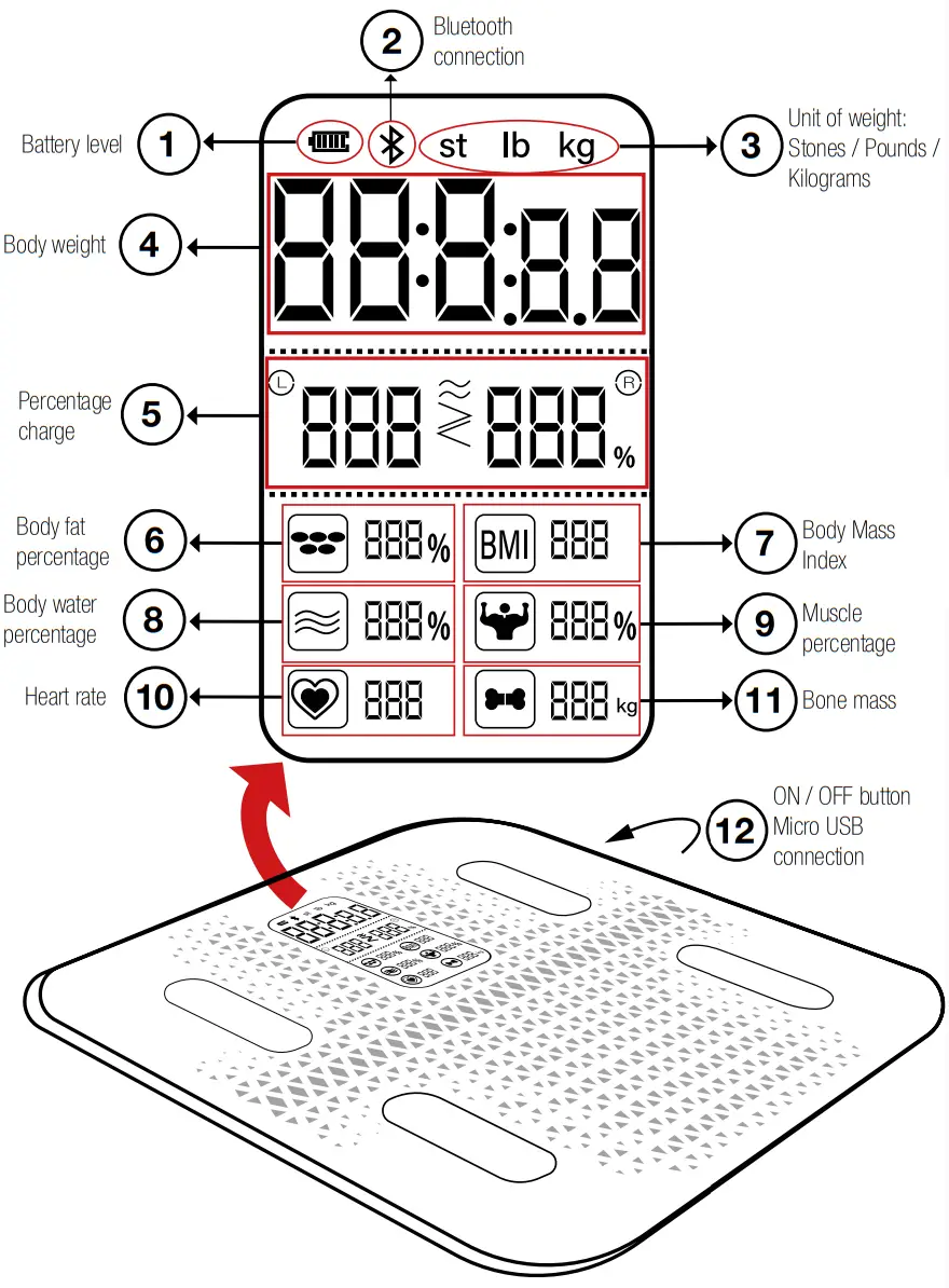 SPORTSTECH BBS300 Body Scale - DISPLAY AND FUNCTIONS