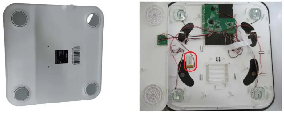SPORTSTECH BBS300 Body Scale - screwdriver