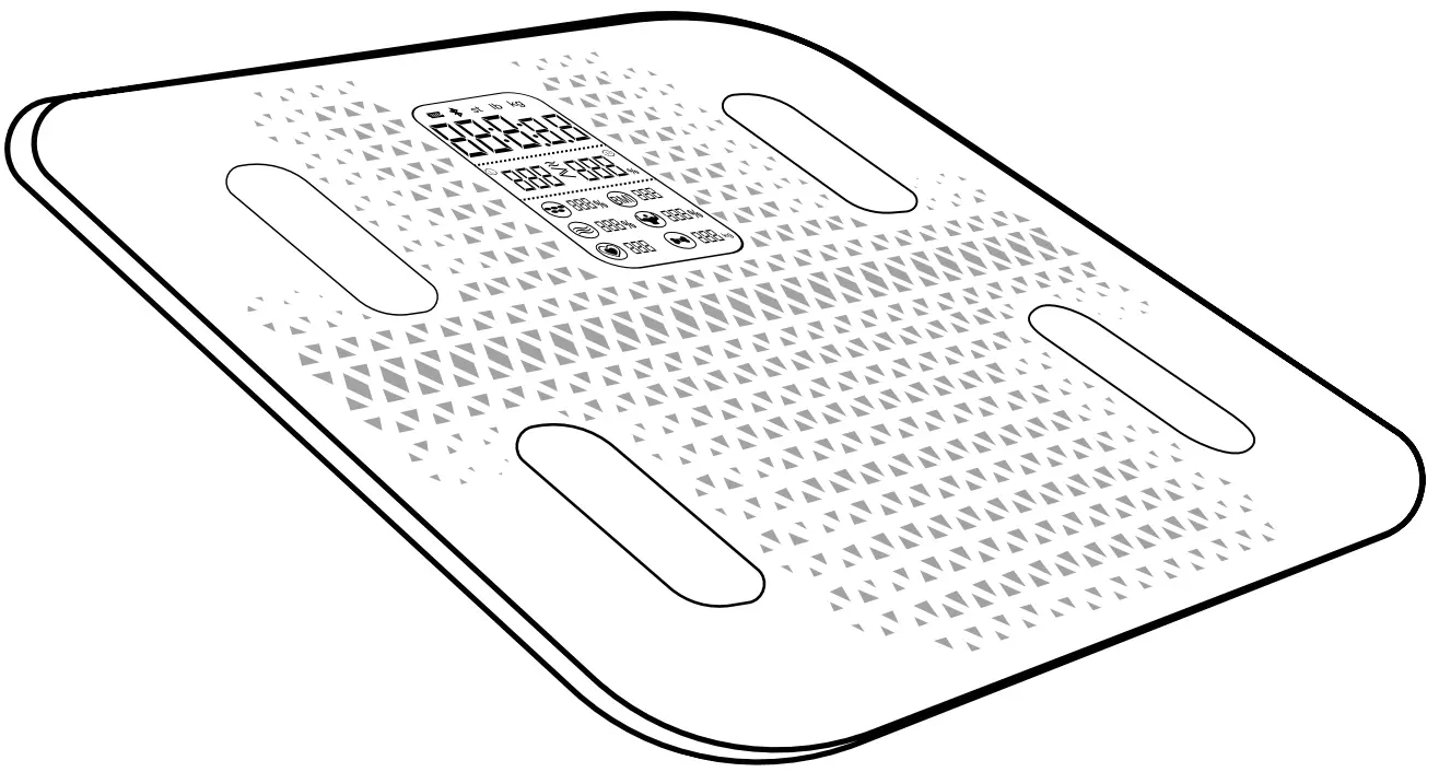 SPORTSTECH BBS300 Body Scale
